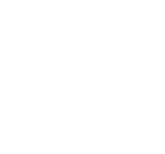 Logo Fenix Brindess